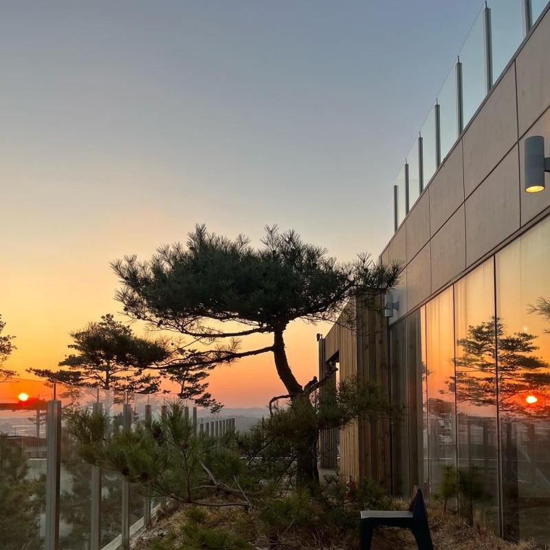 Yangyang Collector 6449 Pension