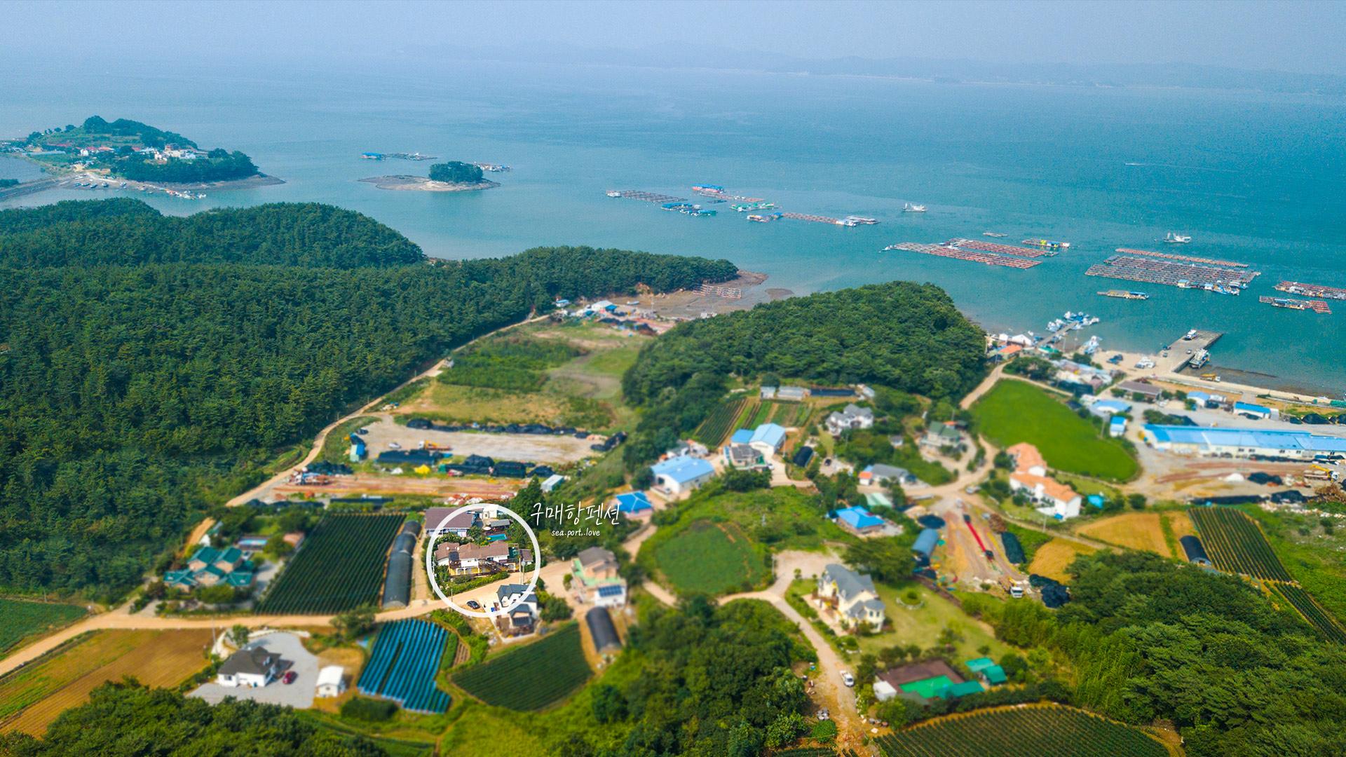 대표 사진