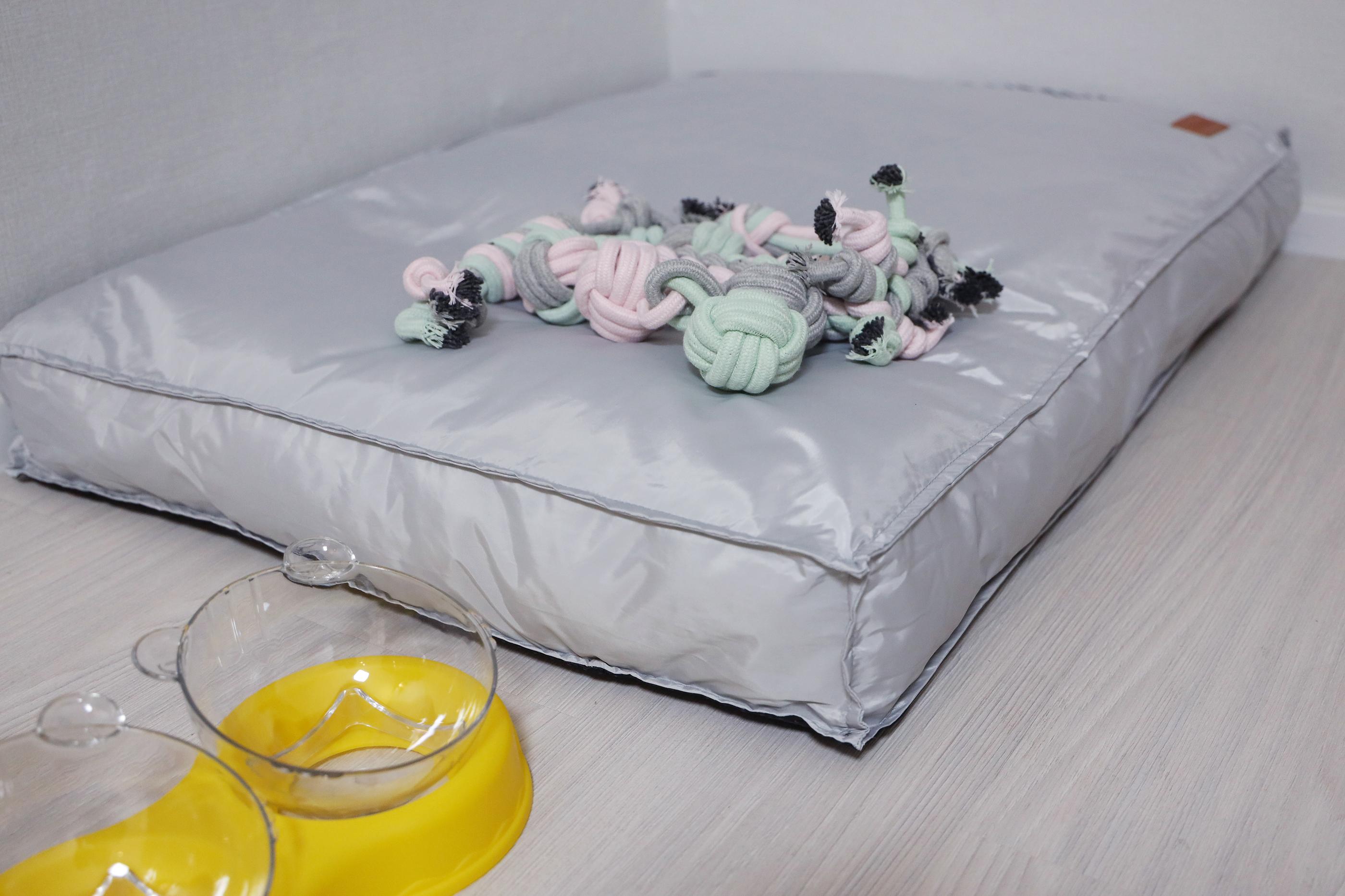 대표 사진