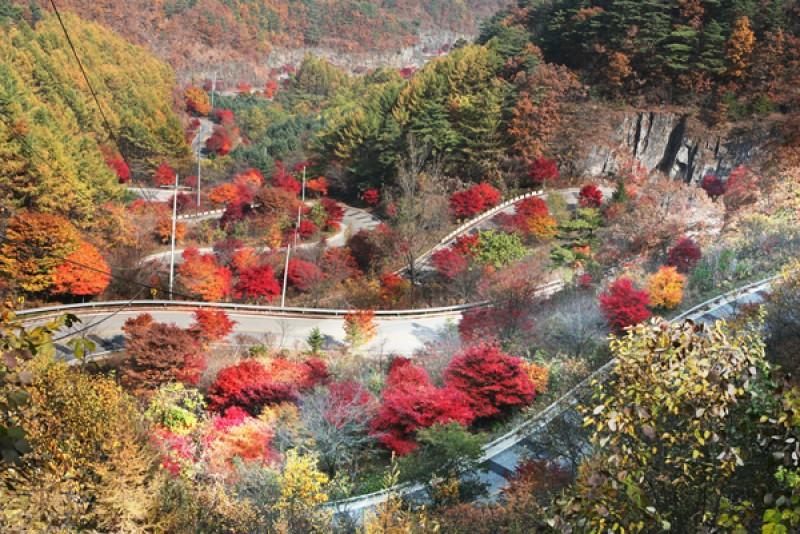 숙소 시설