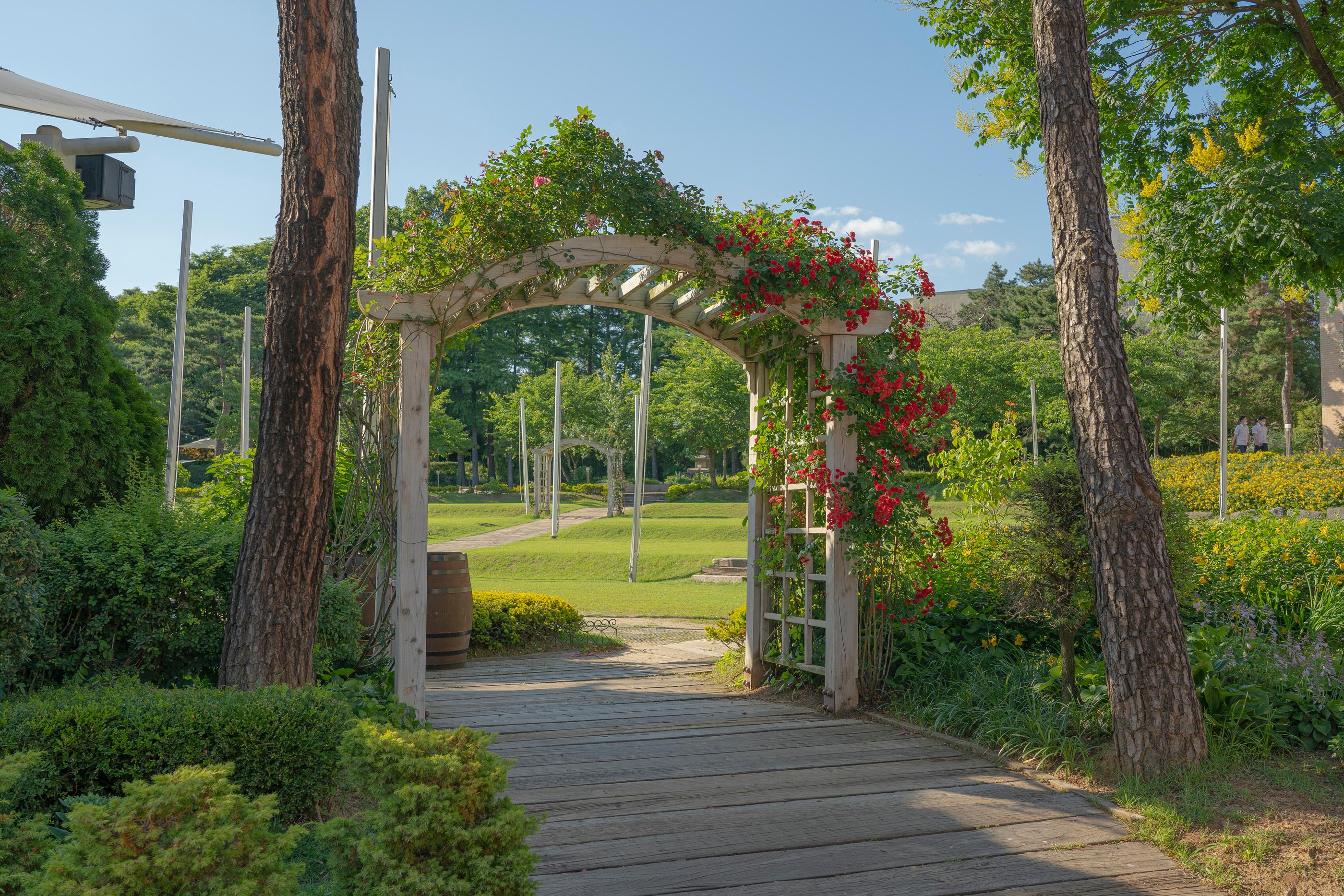 Mayfield Hotel Seoul-29