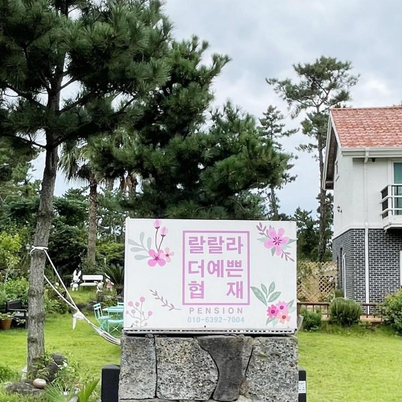 대표 사진