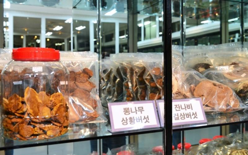 숙소 시설