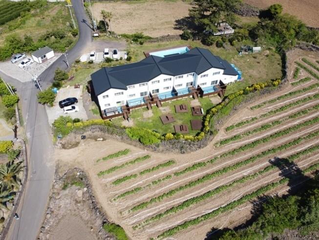 White dream Pension-6