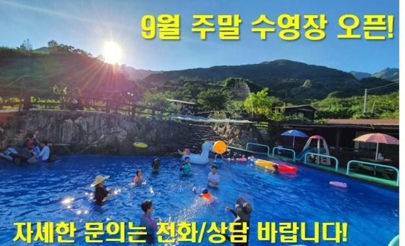 대표 사진