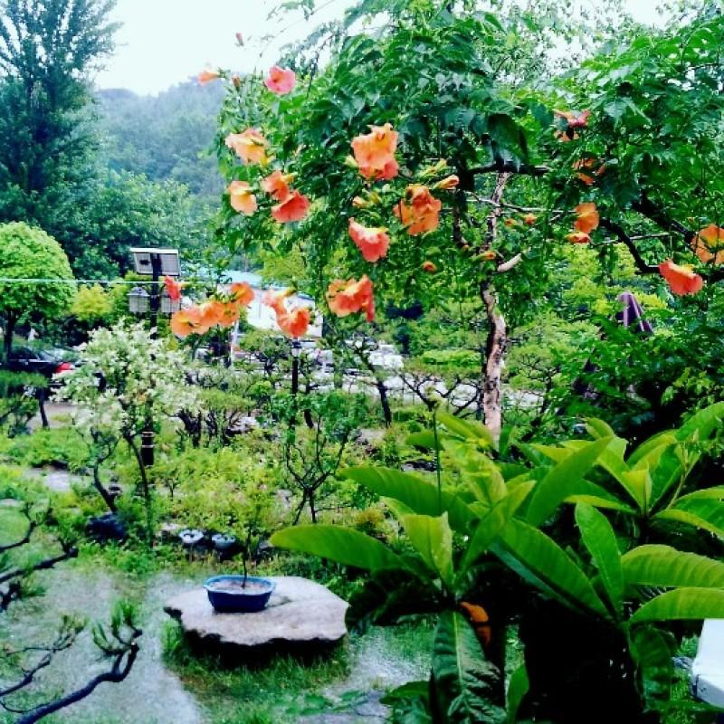 숙소 시설