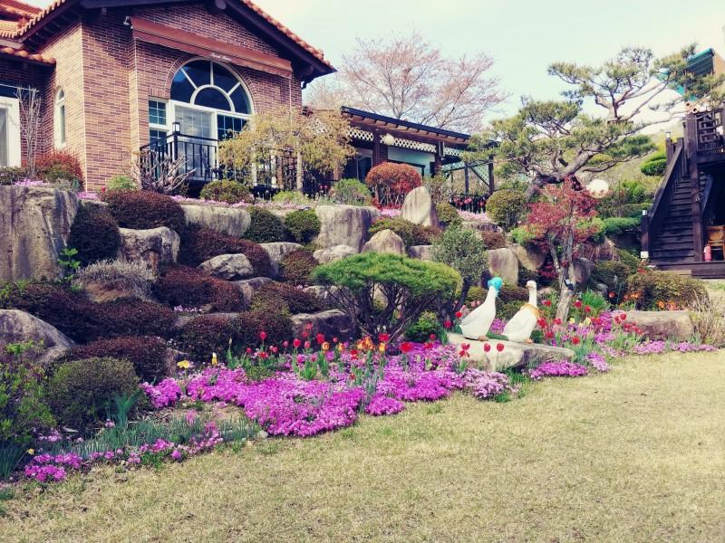 대표 사진