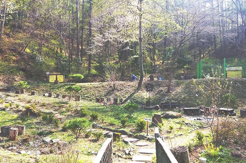 Yangpyeong Lime Orange Pension-14