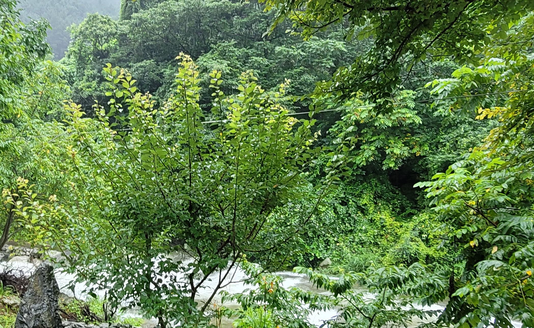 숙소 외관