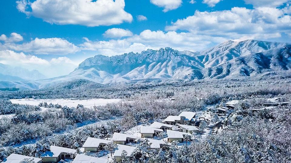 전경