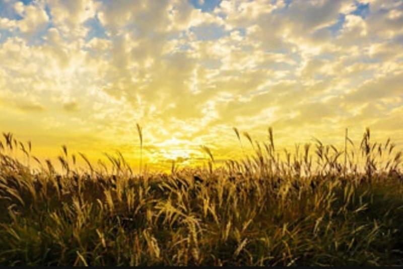 Pocheon Sanulrim Pension-62