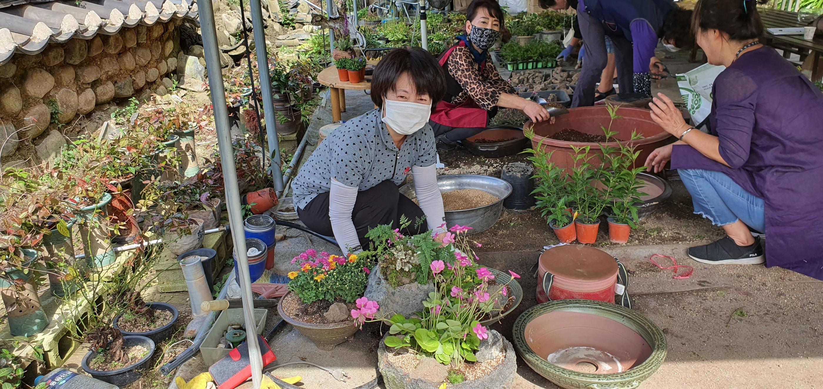 Chungju Real flowers and Taeknadeuli Pension-13