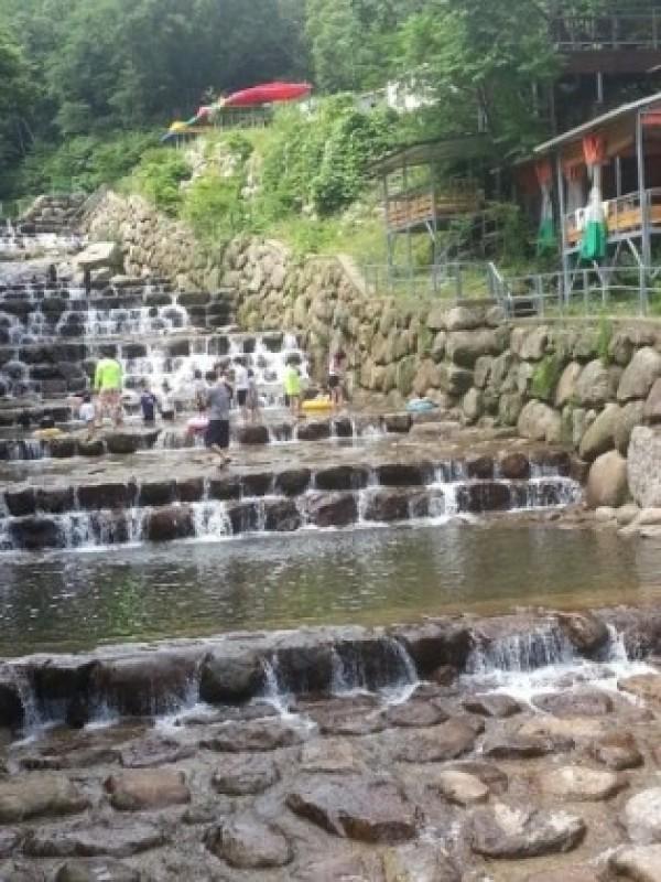 대표 사진