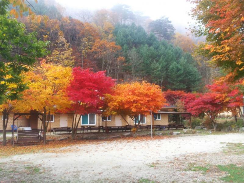 Inje Horangbau Pension