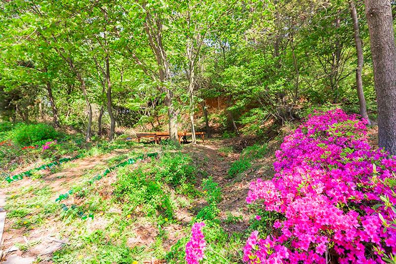 Hwaseong (jebudo) Dongmisan Pension-22