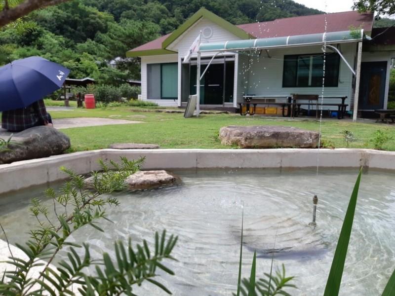 대표 사진
