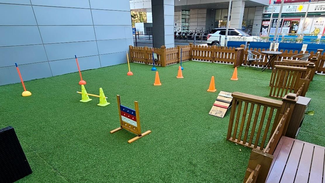 대표 사진