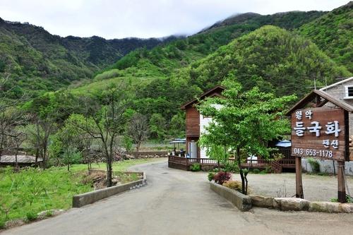 Jecheon Worak Deulgukwa Pension