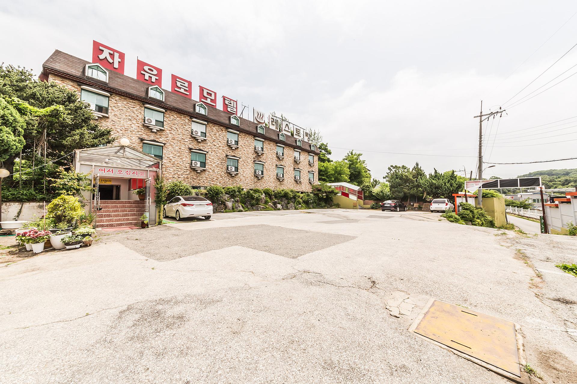 Paju Jayuro-10