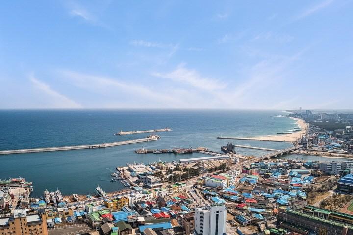 대표 사진