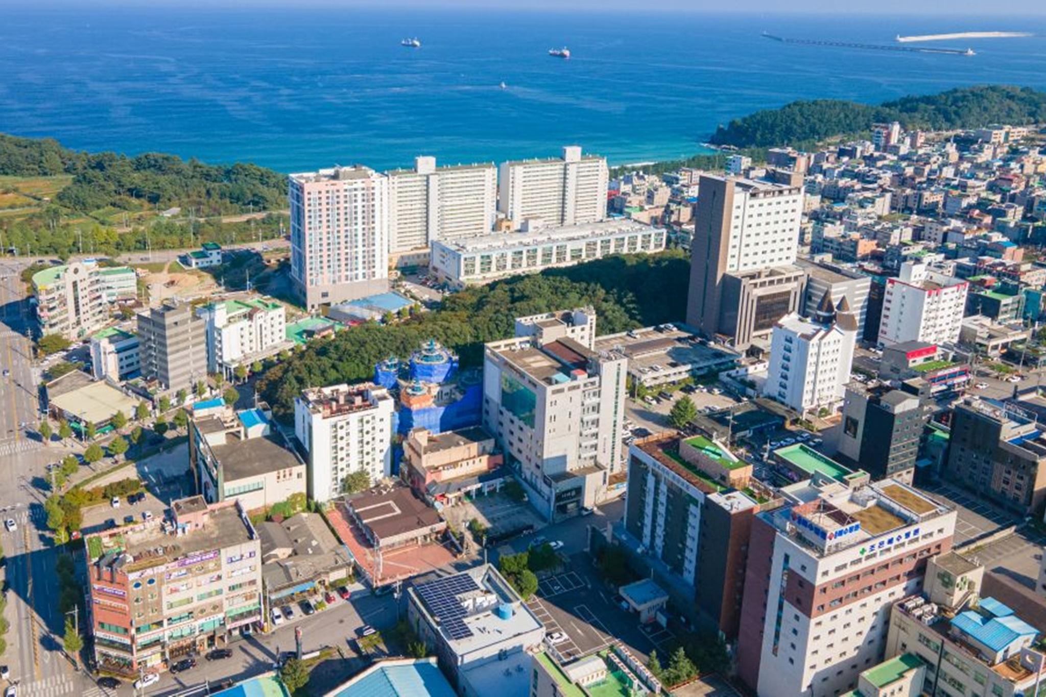 대표 사진