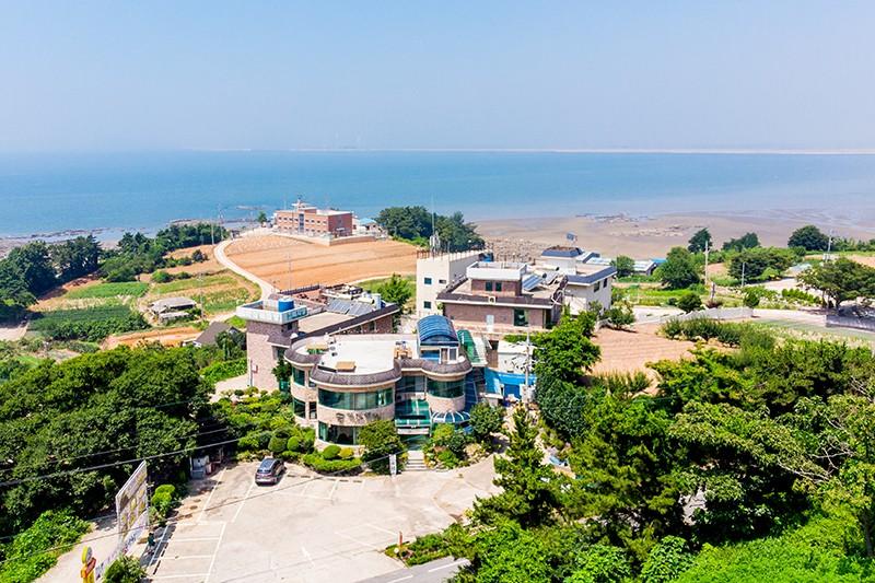 대표 사진