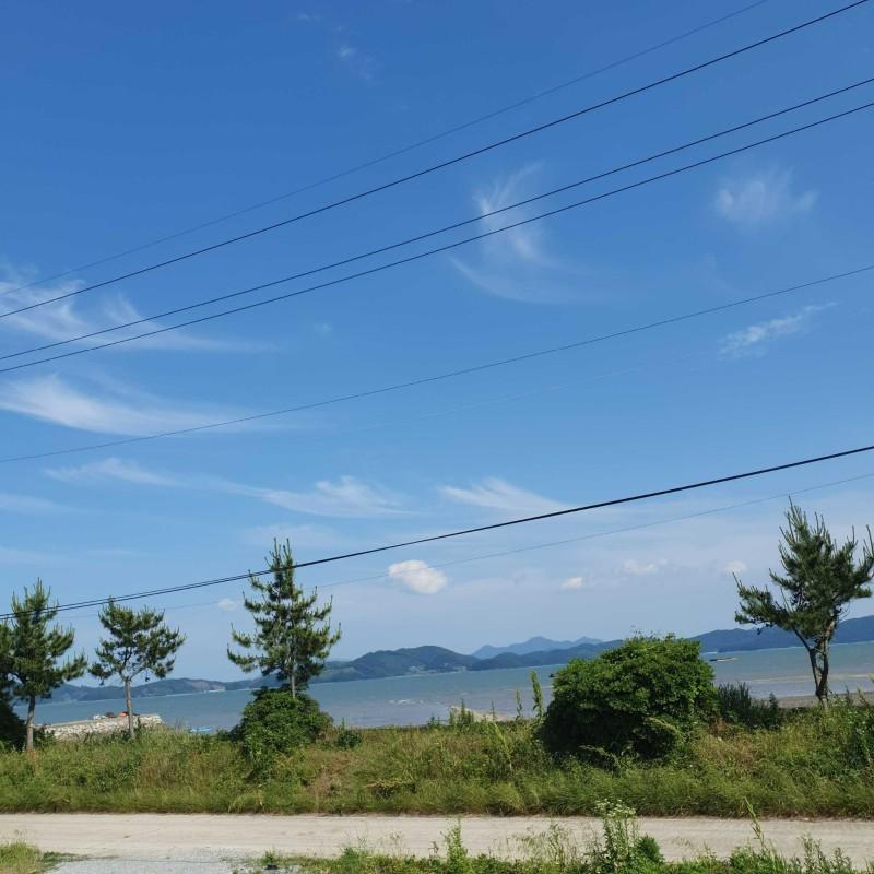 대표 사진