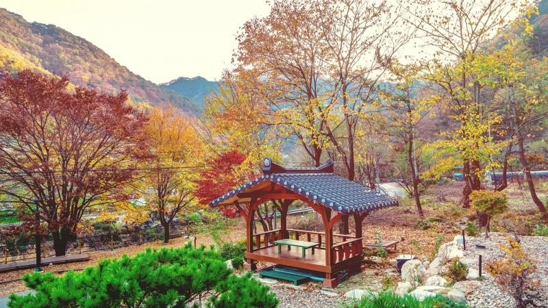 숙소 시설