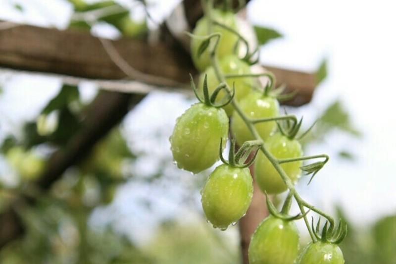 Yangpyeong Ggaruru Pension-32