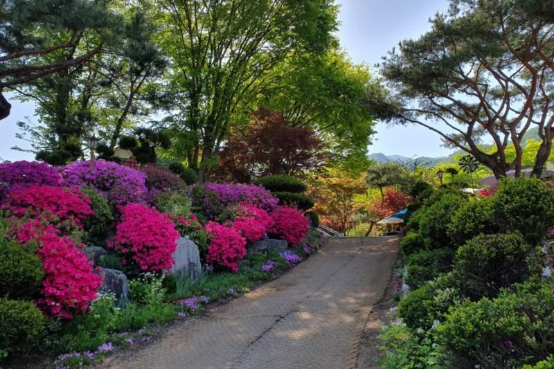 Gapyeong Flower Muji Pension (near the valley)-90