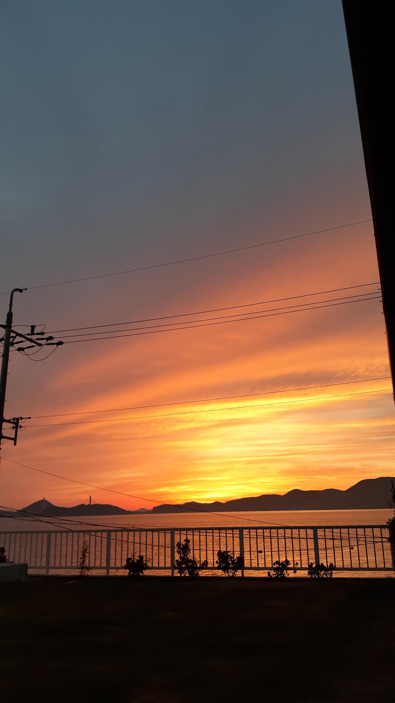 대표 사진