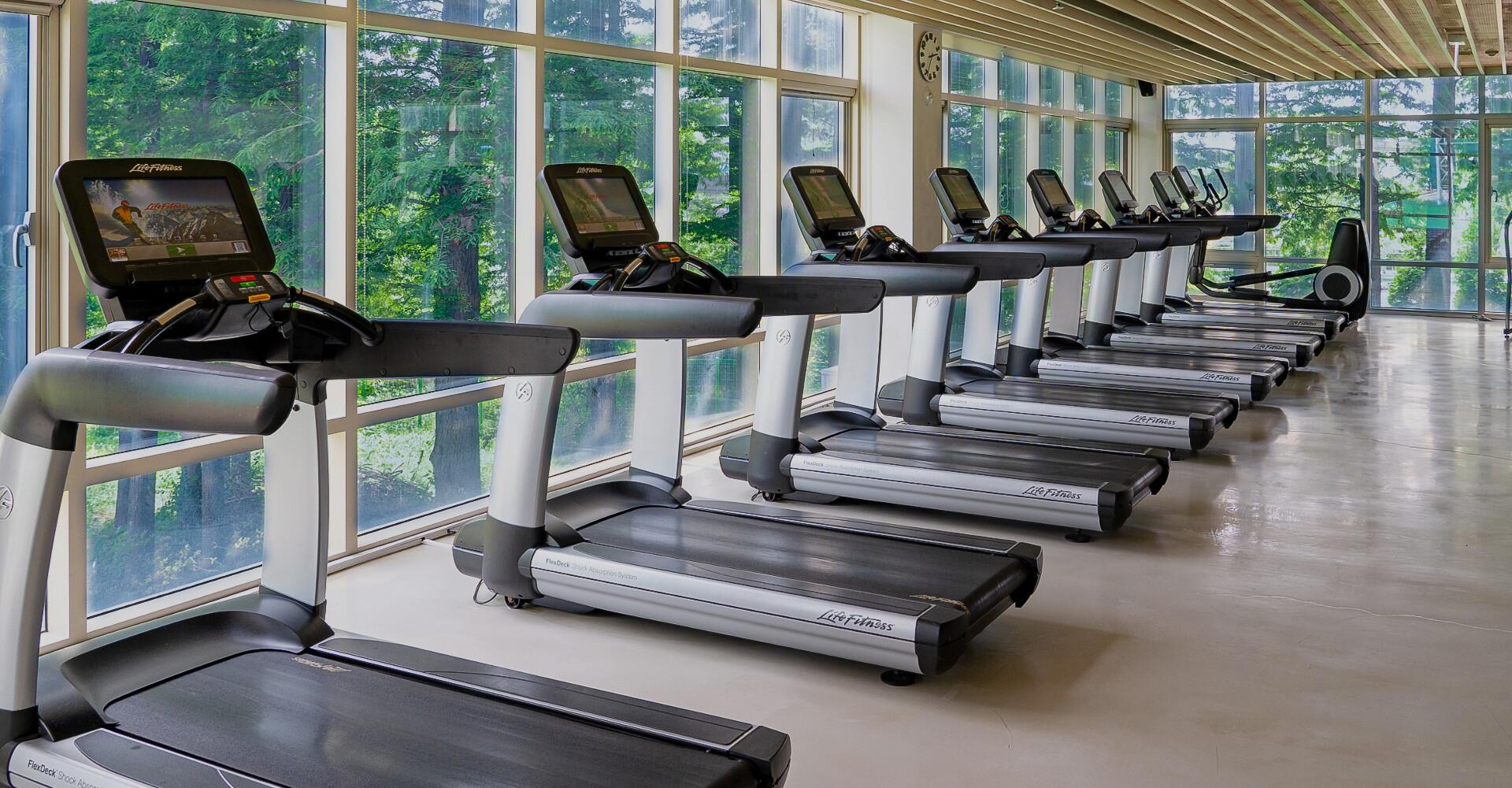 Mayfield Hotel Seoul-7