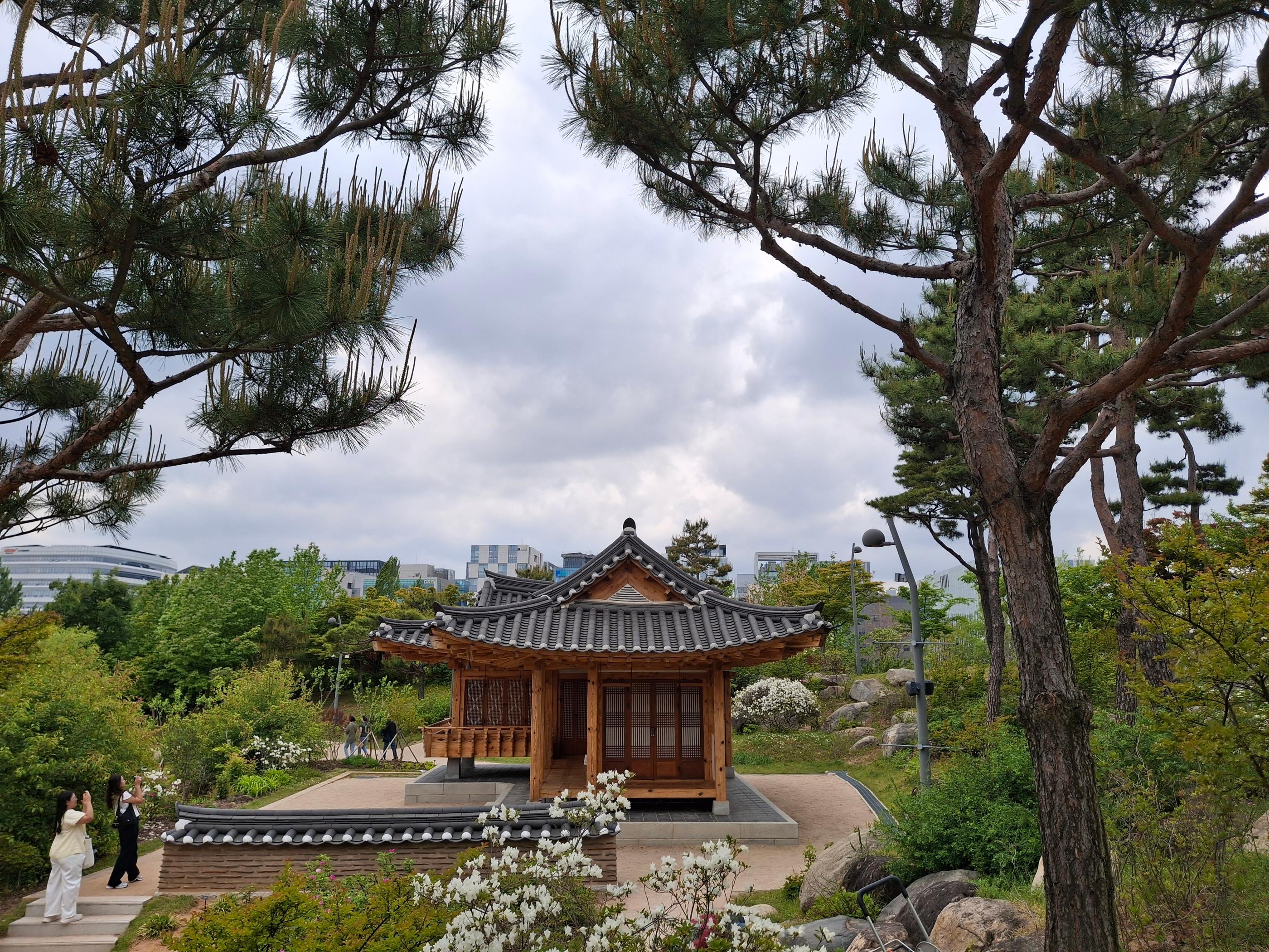 text editor image
