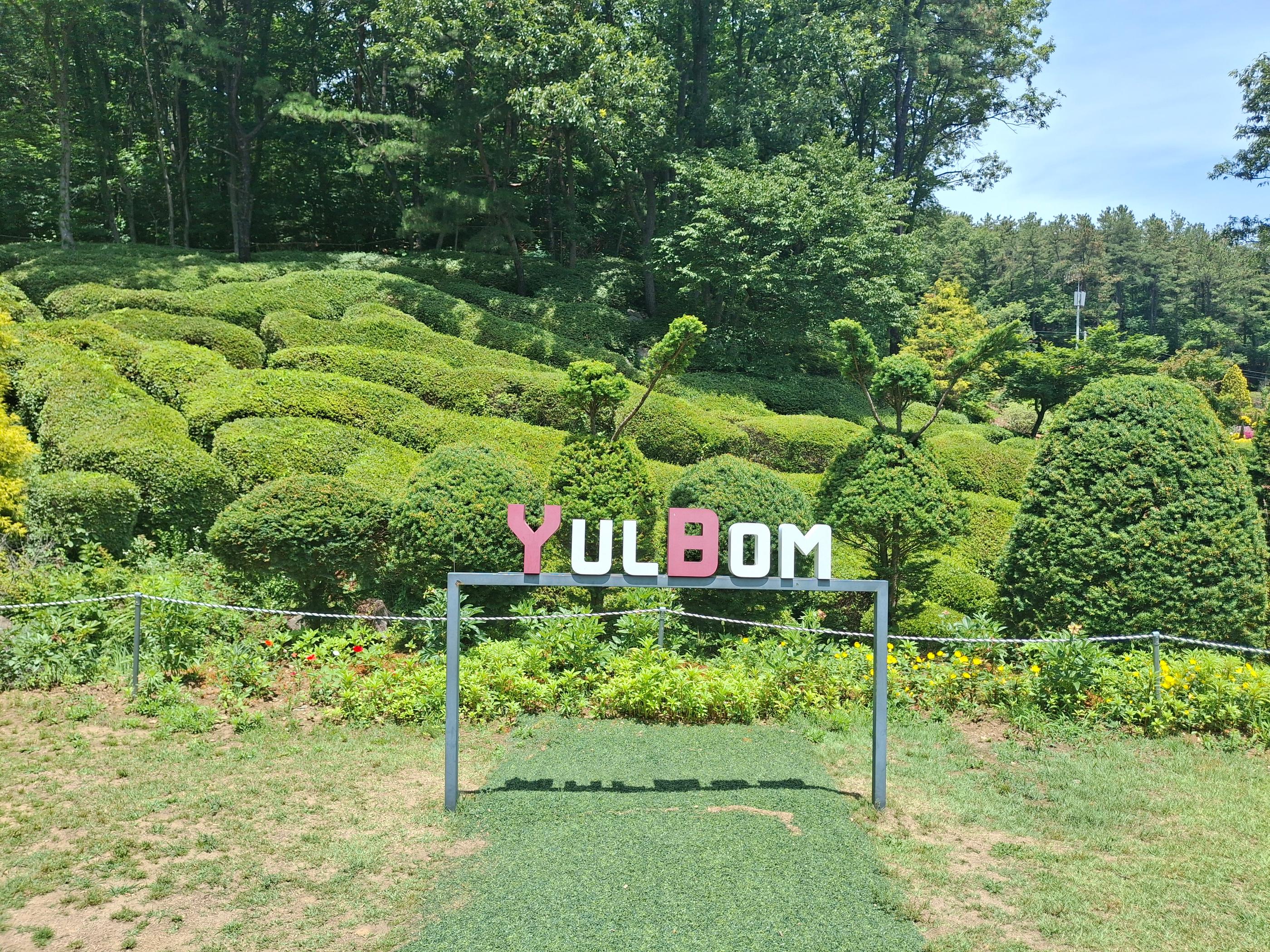 text editor image