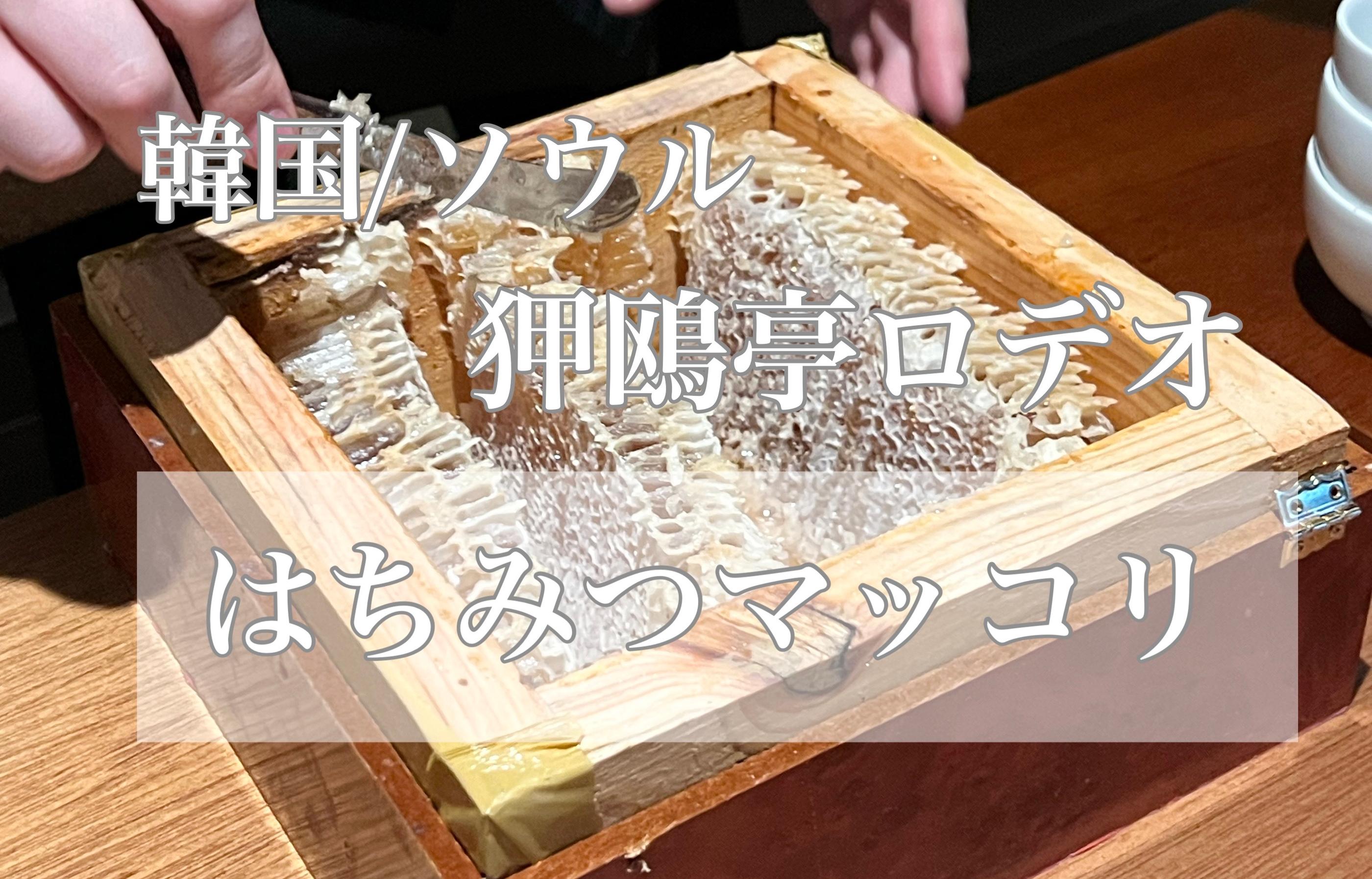 ハチミツマッコリが楽しめるお店🍯