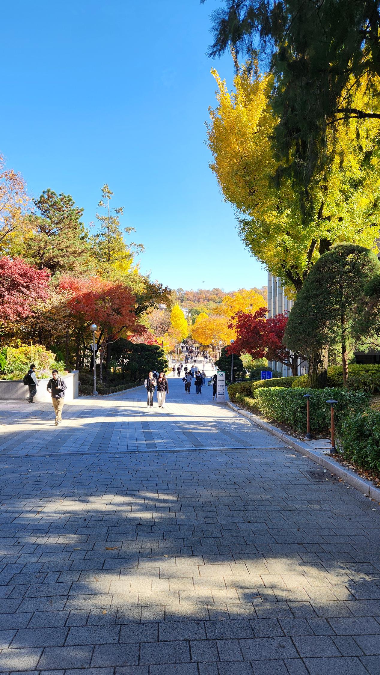 Fall 2025 Semester — University of Seoul