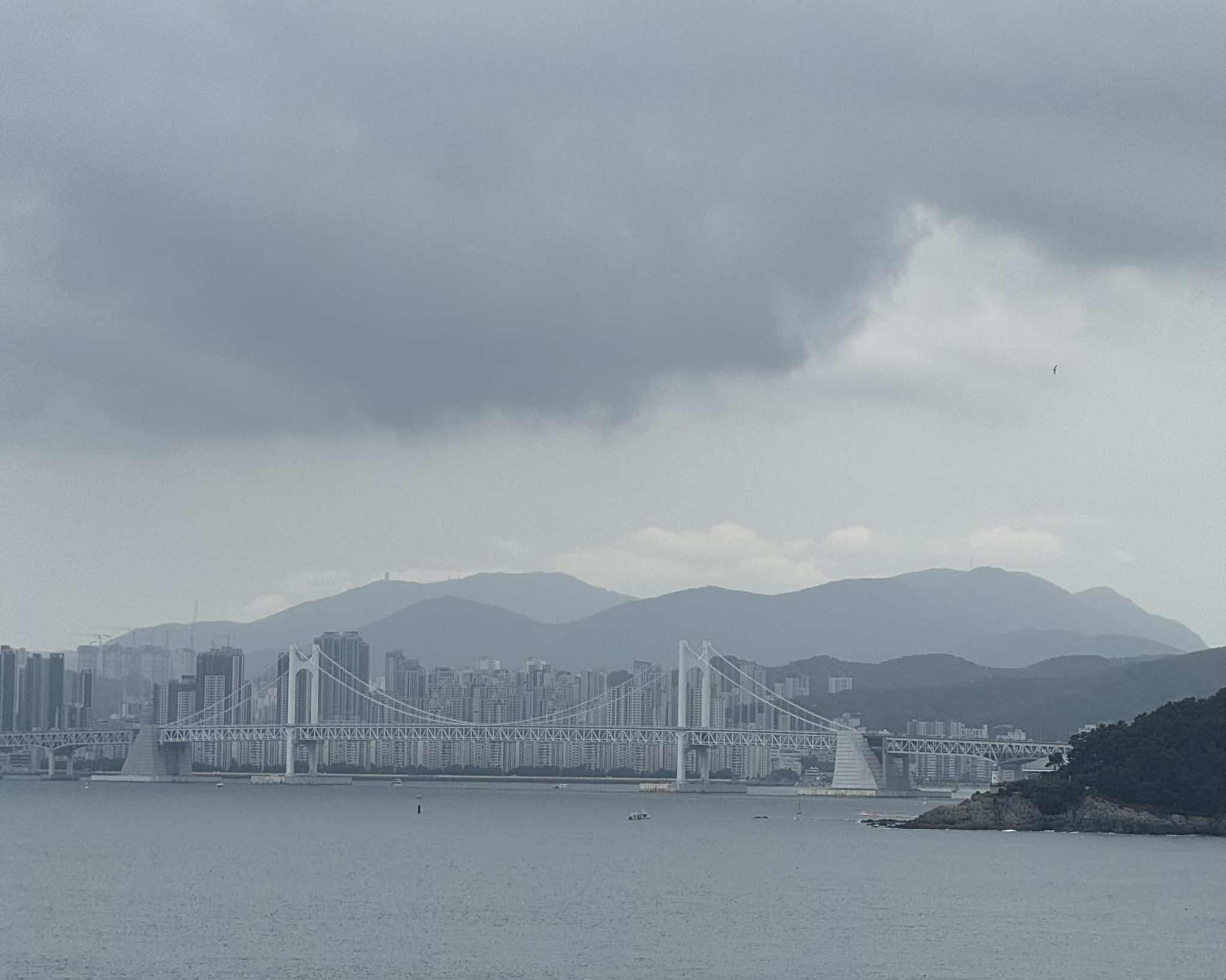 Weekend in Busan: The Best Eats, Views, and Things to Do