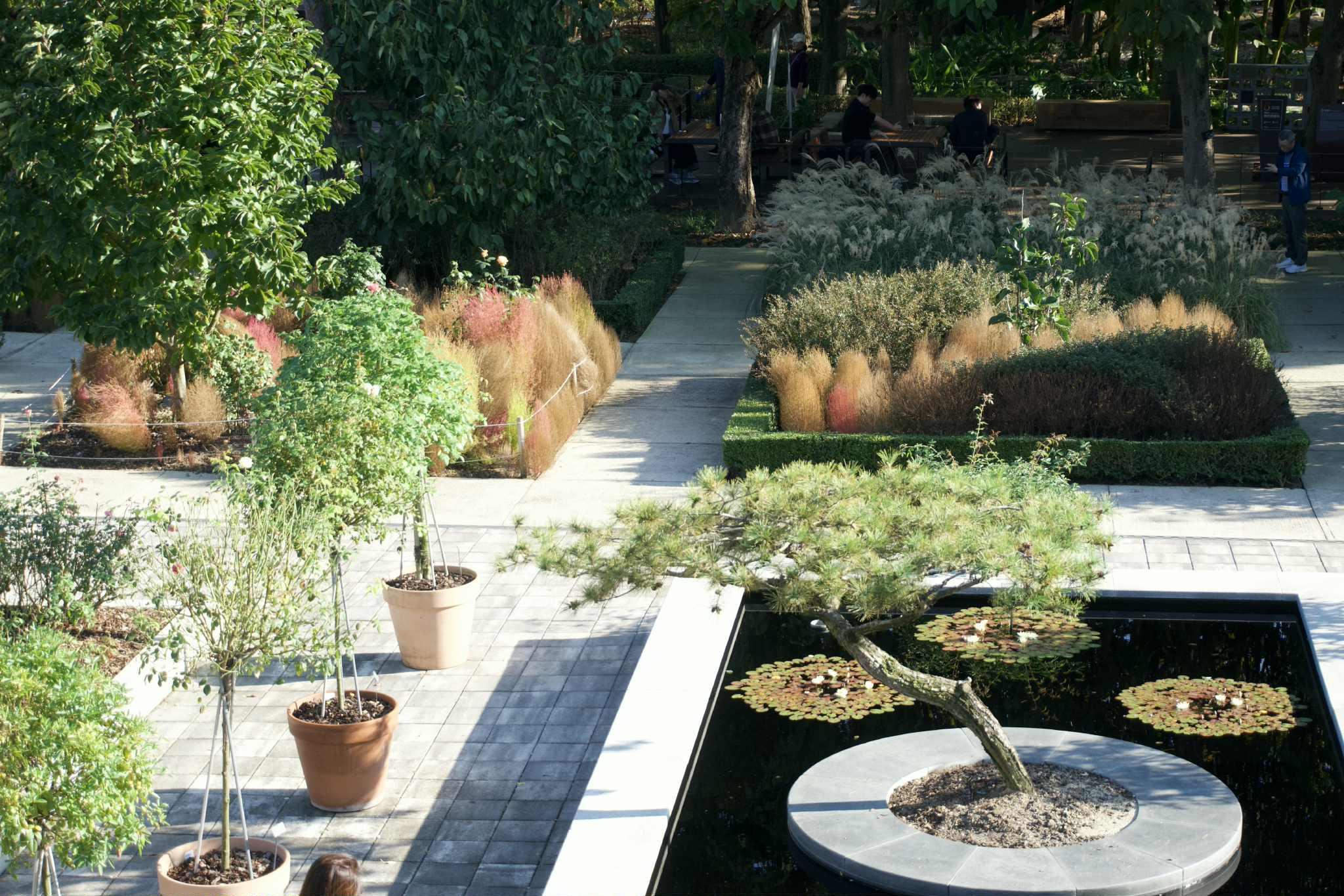 A Peaceful Escape in Nature in Jeonju Arboretum