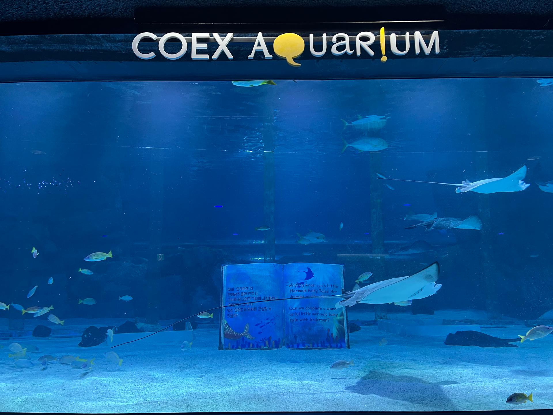 Aquarium COEX : Au-delà du centre commercial Starfield COEX
