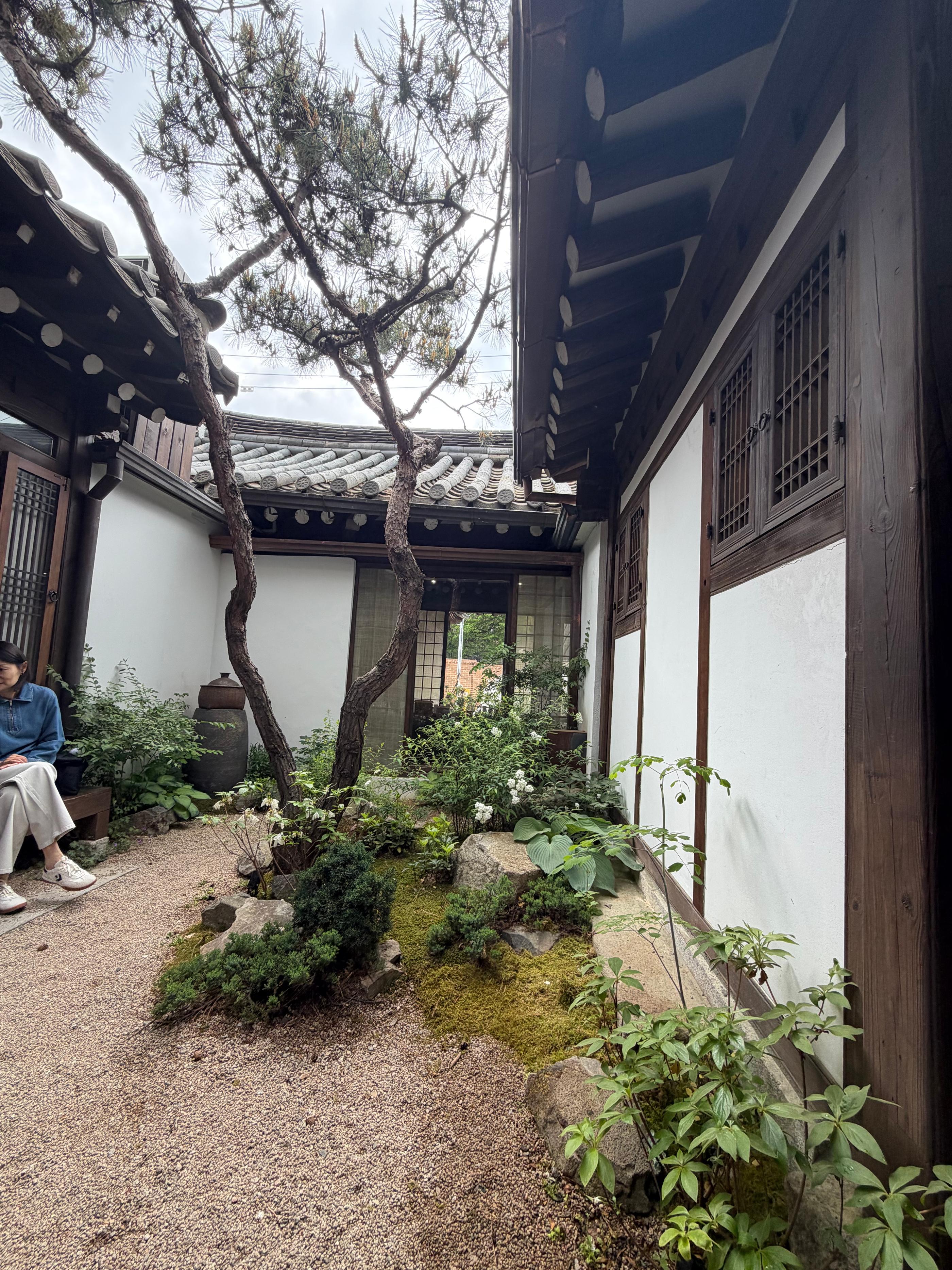 文本编辑器图片