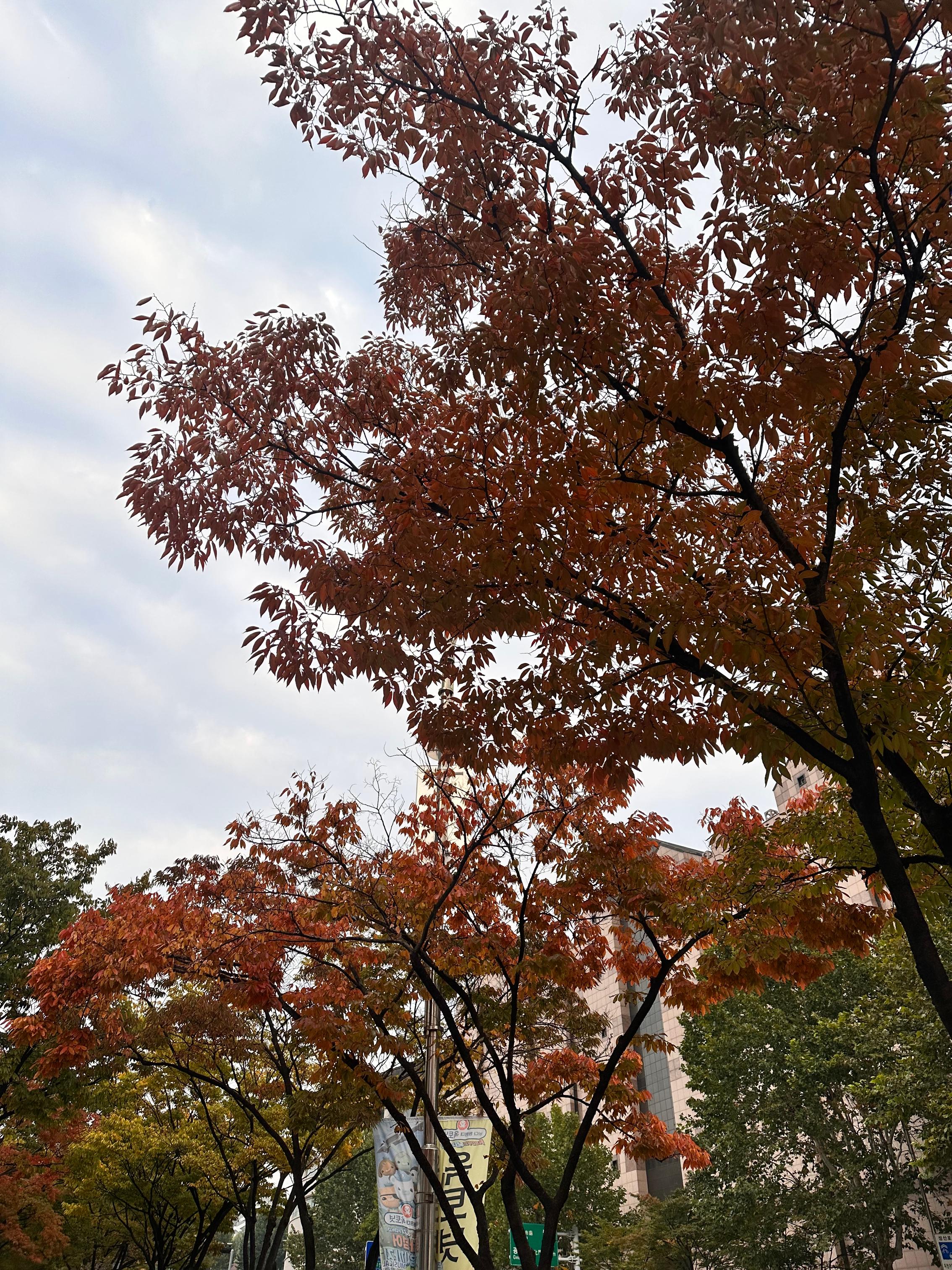 延世語學堂獨旅三個月