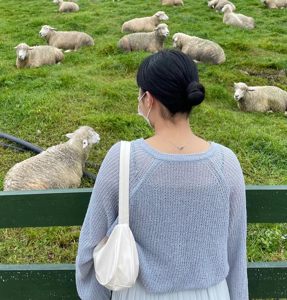 Ich bin mit dem Auto nach Gangwon Province gefahren 🚗 (Tag 1)