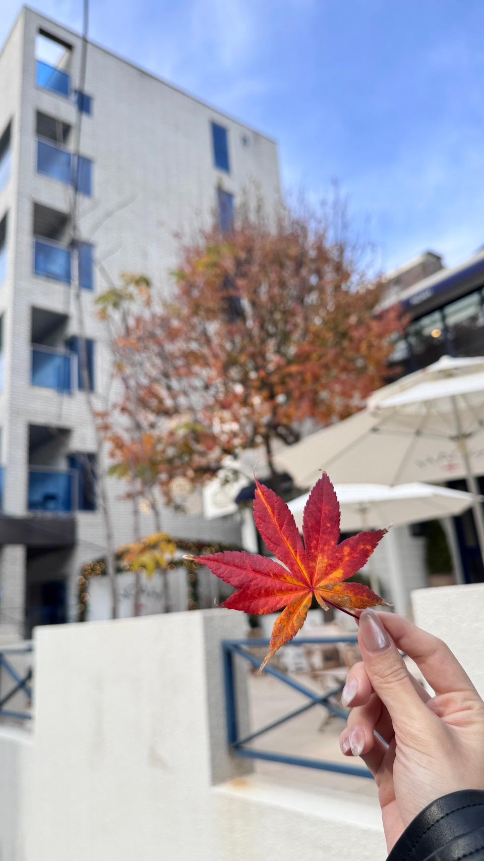 2025年韓國旅遊記錄