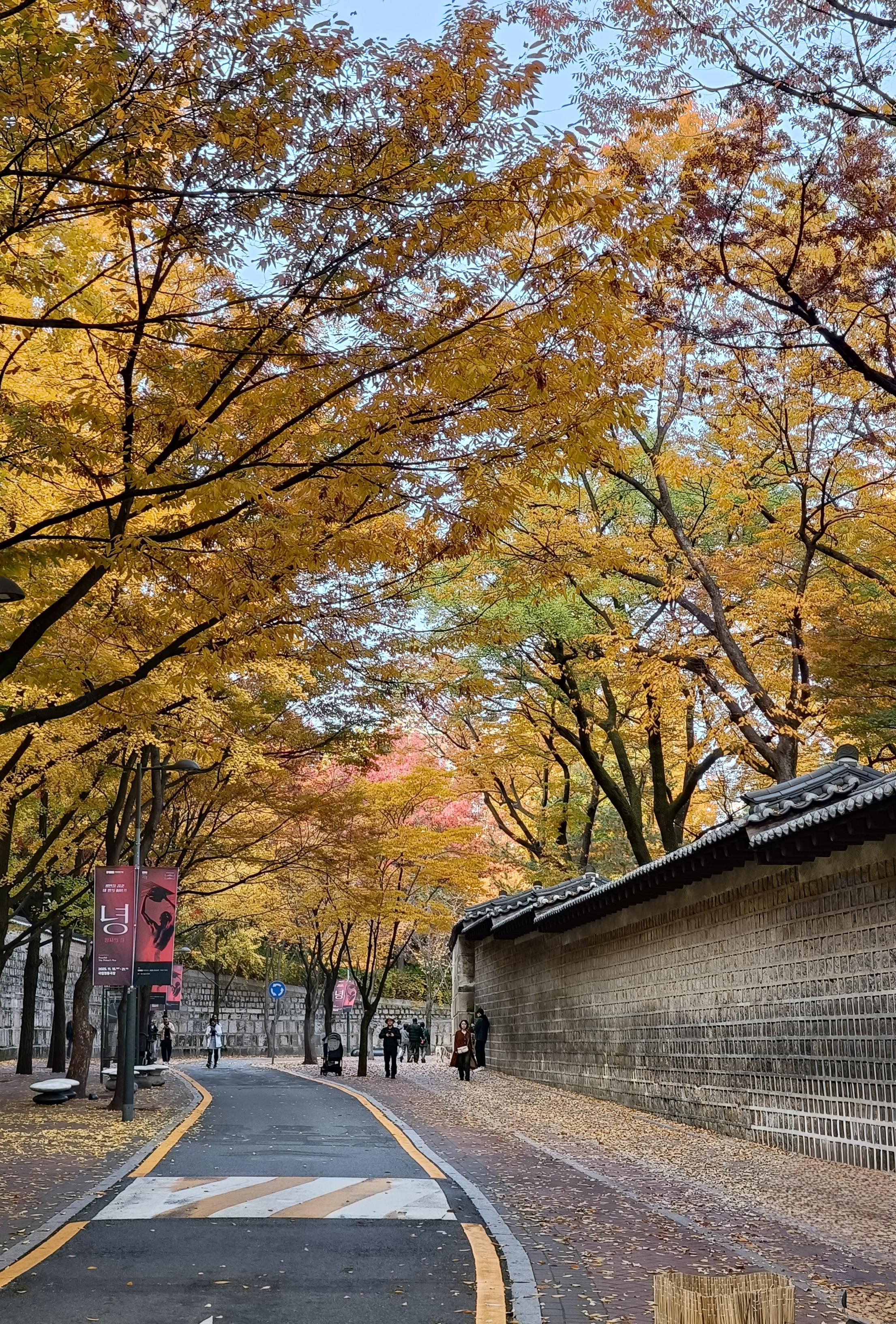 Autumn in Seoul