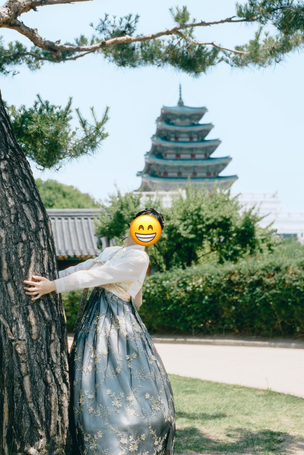 Capturing Timeless Beauty in Korea – The Perfect Hanbok Photos
