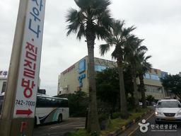 龍頭岩海水樂園(용두암해수랜드)