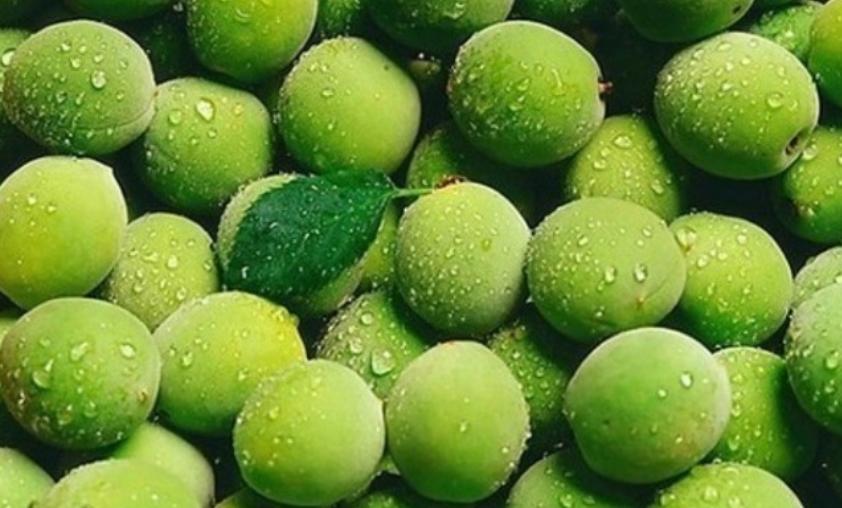 green plums used for plum extract