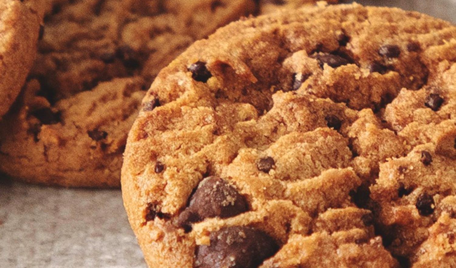 close up image of chocochip cookie
