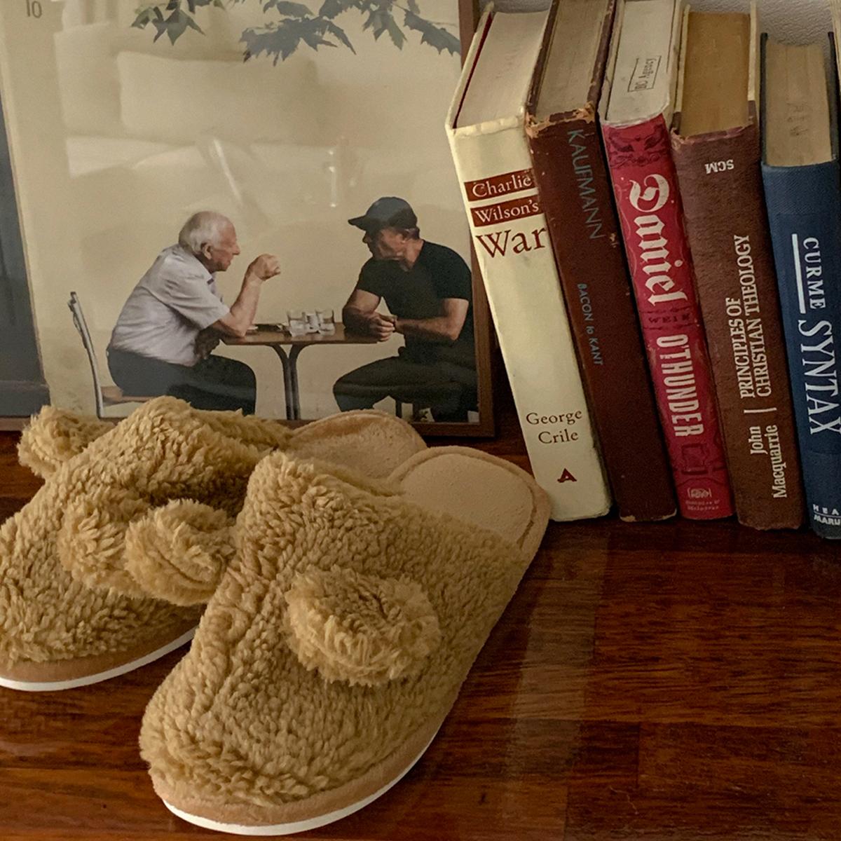 絨毛小熊造型室內拖鞋（咖啡色）
