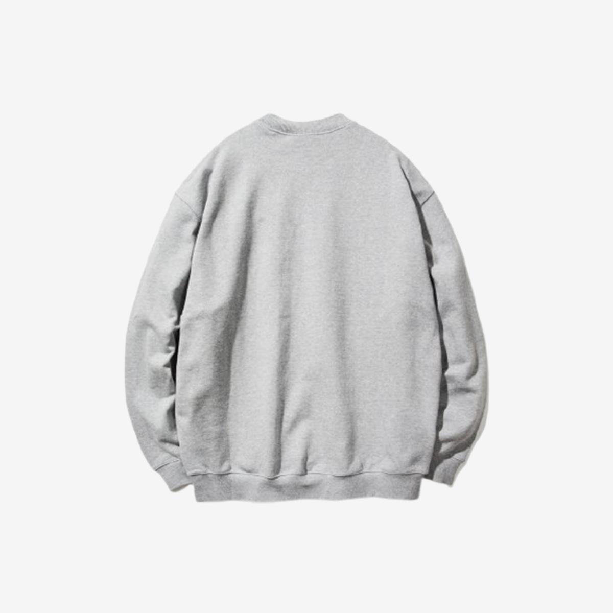 C Logo Sweater (Grey)